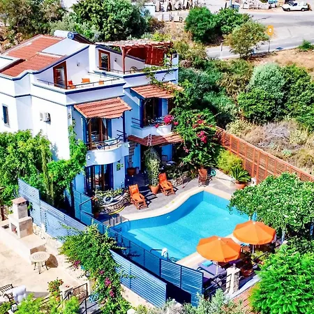 Kirlangic Kaş